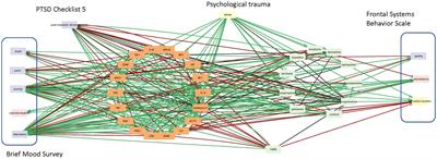 A regulatory pathway model of neuropsychological disruption in Havana syndrome
